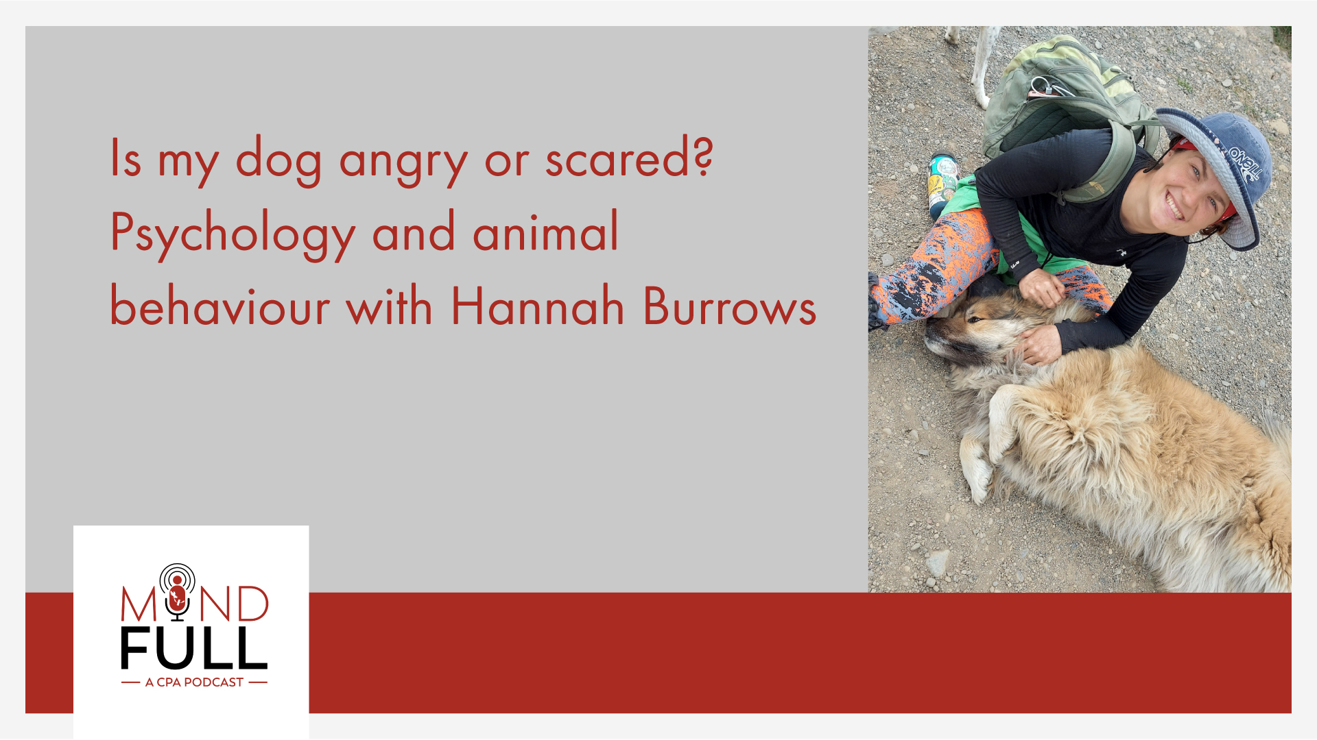 Is my dog angry or scared? Psychology and animal behaviour with Hannah Burrows