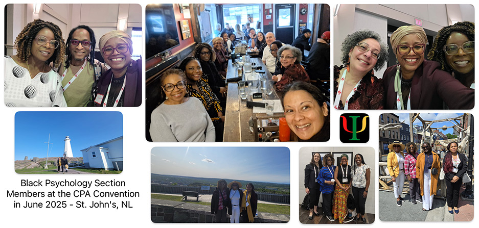 Section for Black Psychology Banner