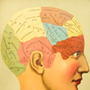 Brain and Cognitive Sciences Icon